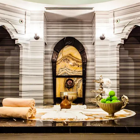 The Elysium Taksim 3* Istanboel