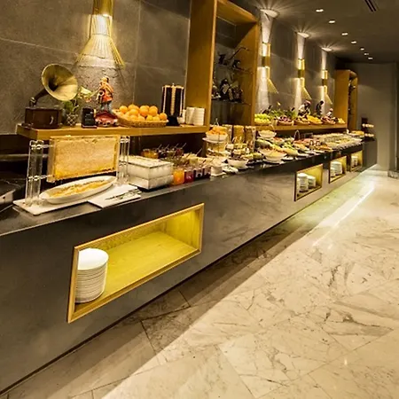 The Elysium Taksim 3* Istanboel