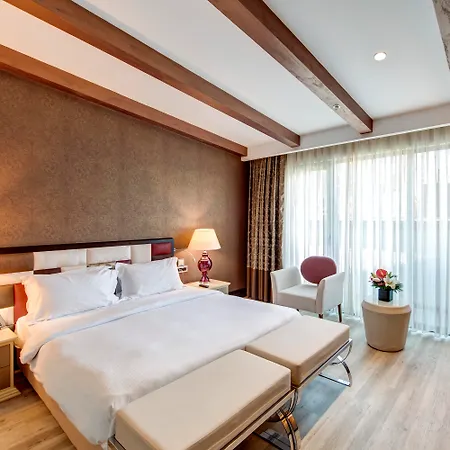 ホテル The Elysium Taksim 5*