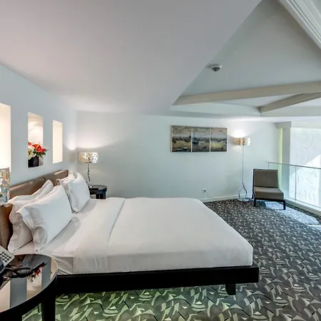 The Elysium Taksim 5* イスタンブール